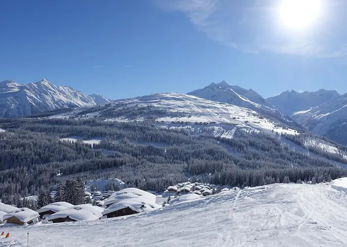 Sennhuette Mitterplatt'n